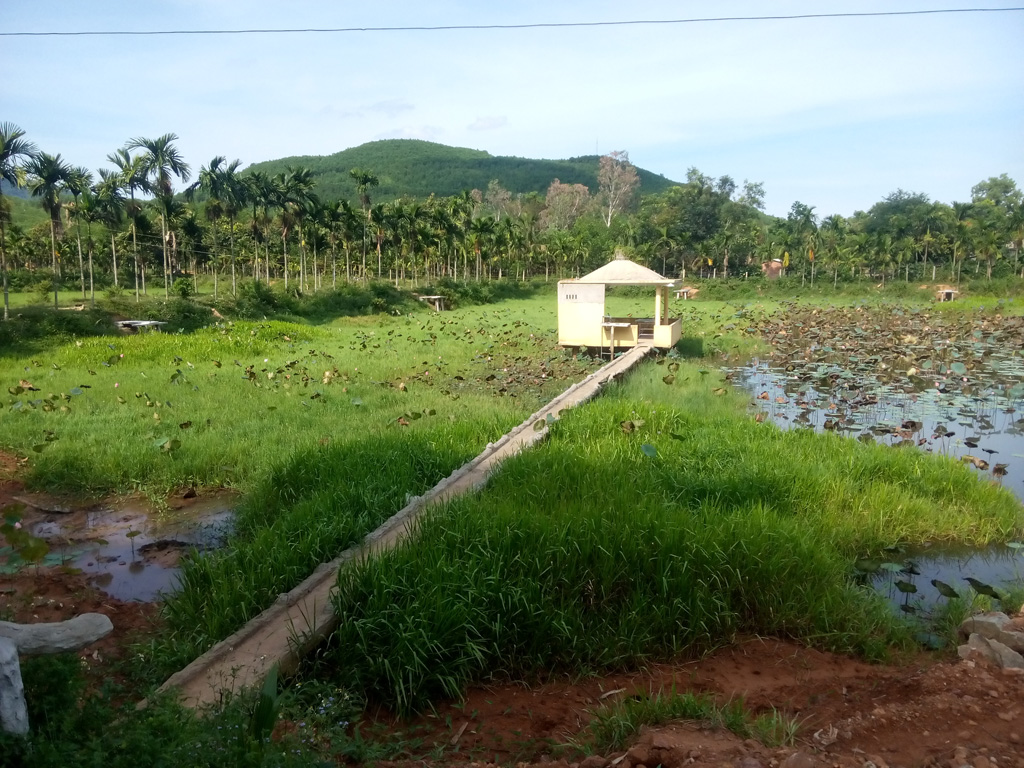 Trang trại tiền tỉ của ông cựu chiến binh 2