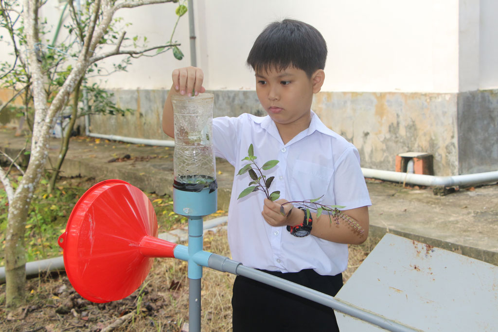 Độc đáo bẫy bắt ruồi vàng của học sinh lớp 3 3