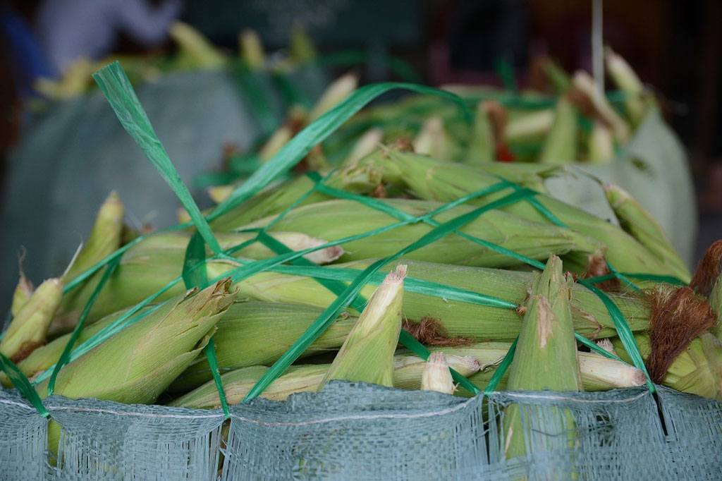 Độc đáo chợ bắp lớn nhất Sài Gòn 2