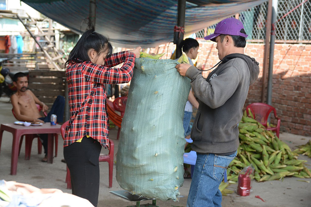 Độc đáo chợ bắp lớn nhất Sài Gòn 4