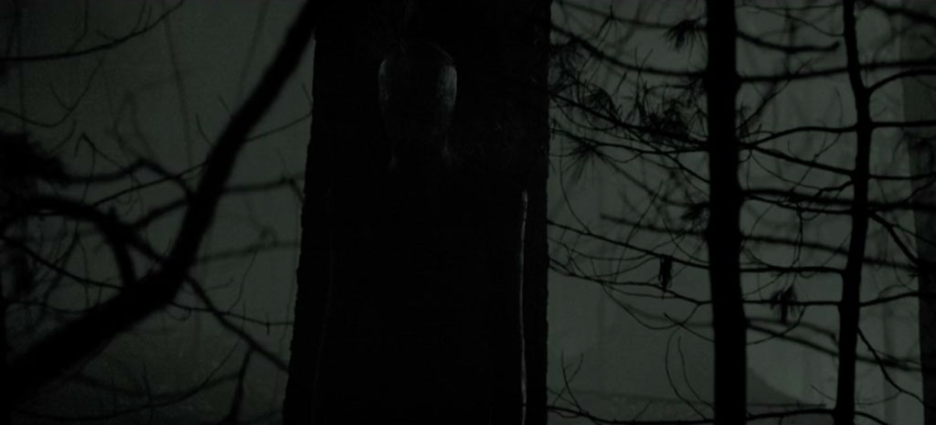 Slenderman là một nhân vật rất nổi tiếng trong thế giới creepypasta. Hình ảnh với đôi tay dài, áo vest đen và khuôn mặt không có mắt luôn làm các fan kinh dị phát sốt. Nếu bạn yêu thích thể loại này, đừng bỏ lỡ cơ hội xem ảnh liên quan đến Slenderman.