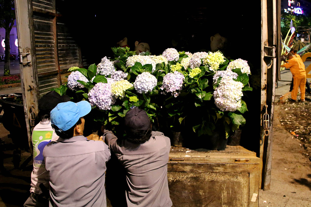 Người dân tập trung giành hoa tại đêm bế mạc đường hoa Nguyễn Huệ 3