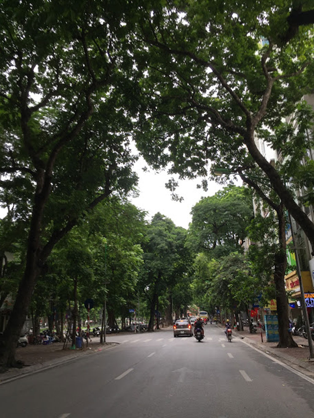 Hà Nội xao xuyến ngày gió thu về1