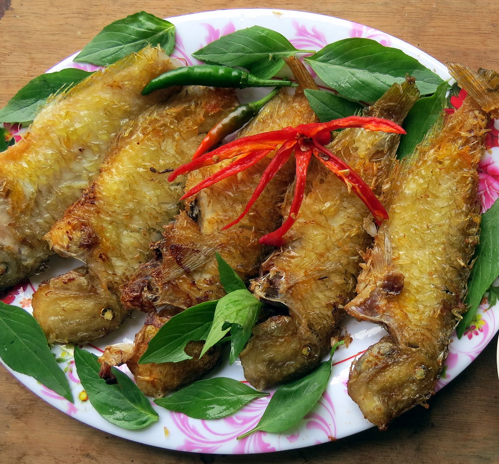 Hương vị quê hương: Ngỡ ngàng cá mó2