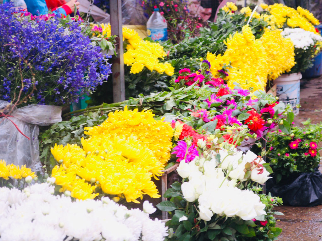 Cận Tết, chợ Quảng Bá tập nập người mua hoa11