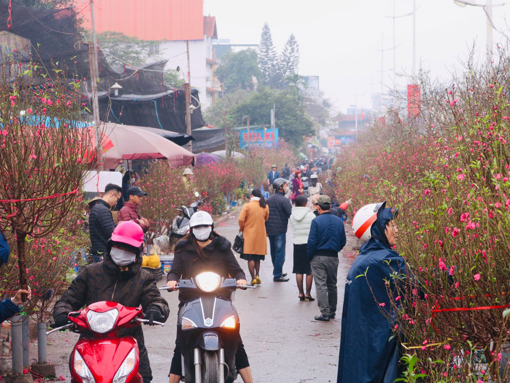 Cận Tết, chợ Quảng Bá tập nập người mua hoa1