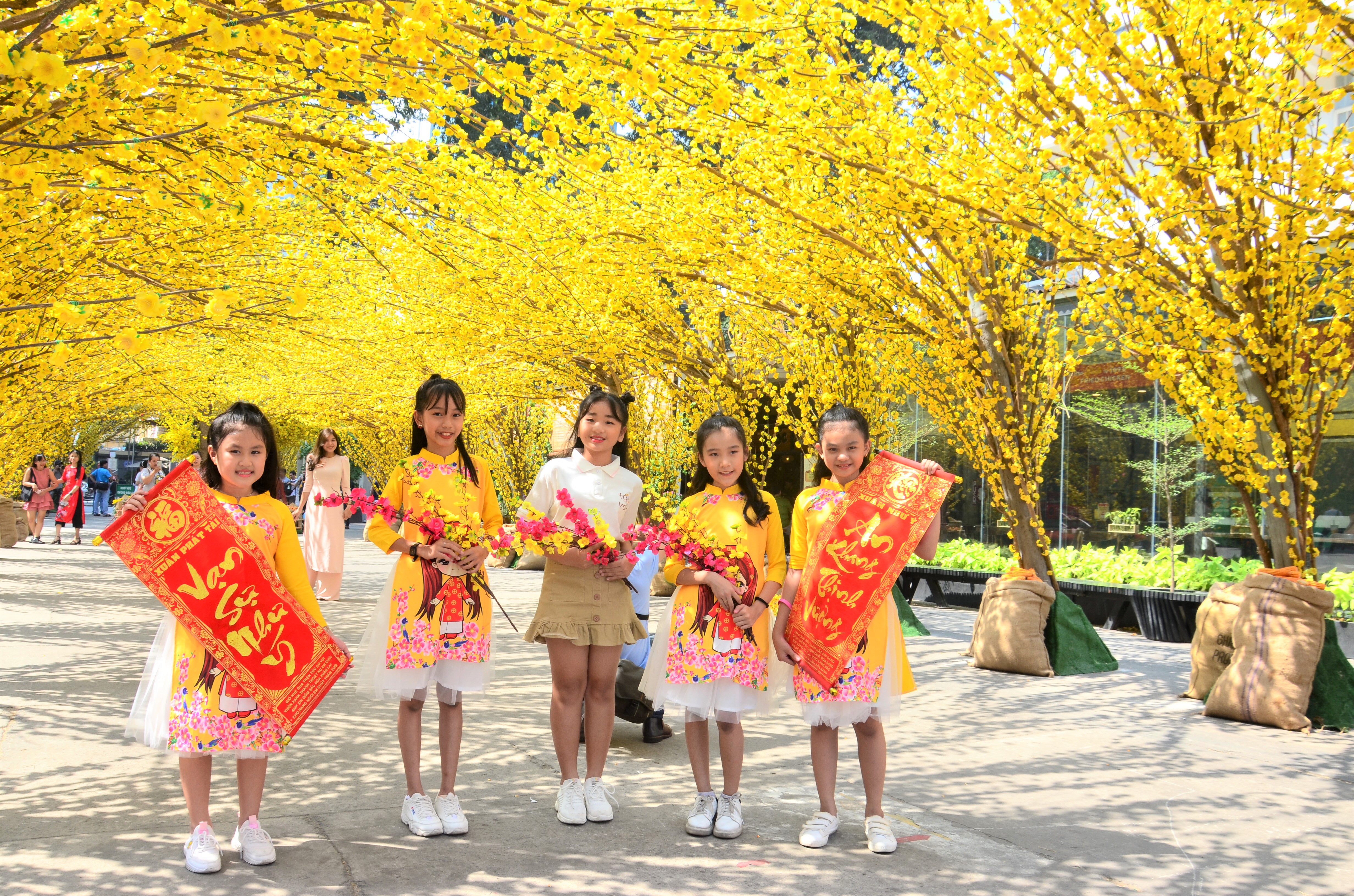 Đường mai tết - tet hoanh trang: Hãy cùng đón Tết Hoành Tráng với hình ảnh đường mai tết lung linh truyền thống. Những màu sắc tươi vui của hoa mai sẽ đưa bạn tới không gian Tết rực rỡ. Hãy để ánh sáng của đường mai tết chiếu sáng niềm vui đón Tết cổ truyền Việt Nam.