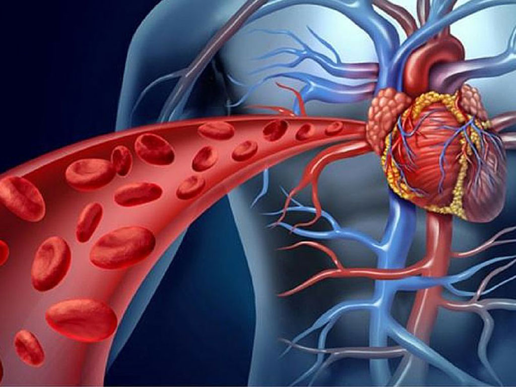 Vậy thì nên tắm nước lạnh hay tắm nước nóng?1