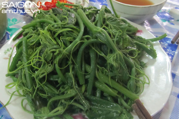 Xanh xanh đọt su su Tam Đảo
