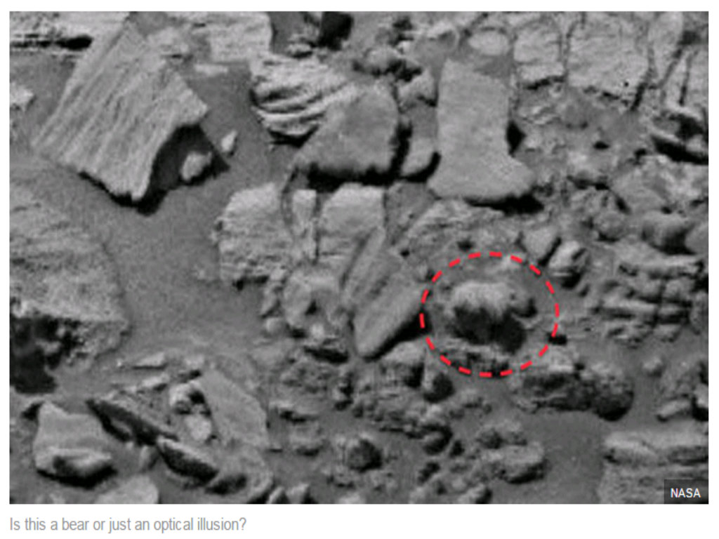 Xuất hiện sinh vật có hình dạng giống gấu trên sao Hỏa?