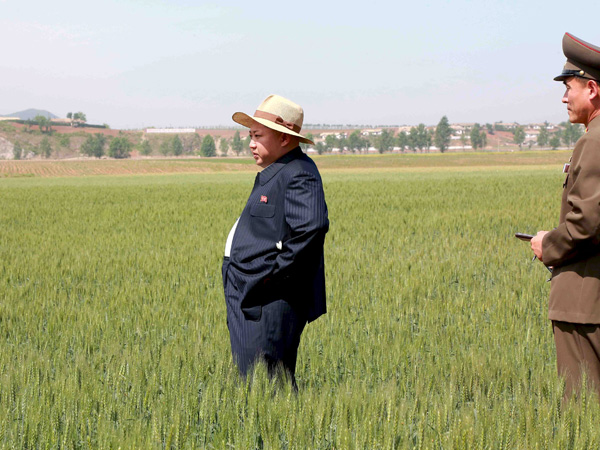 Lãnh đạo Triều Tiên Kim Jong-un trong chuyến thăm các cánh đồng lúa gần đây.
