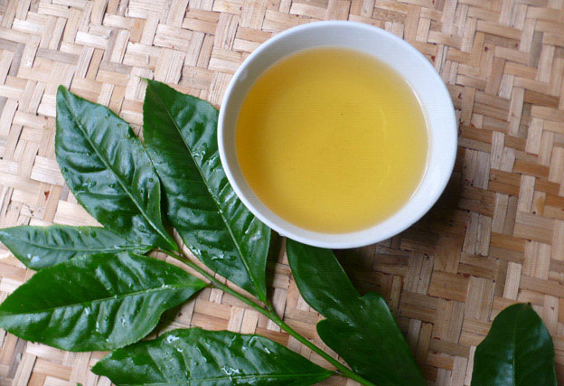 Chè xanh là một Nước trà xanh giúp da tươi tắn và giảm thiểu các dấu hiệu lão hóa