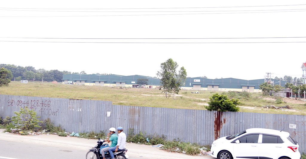 Khu đất 15 ha đang được xây dựng công ty logistics