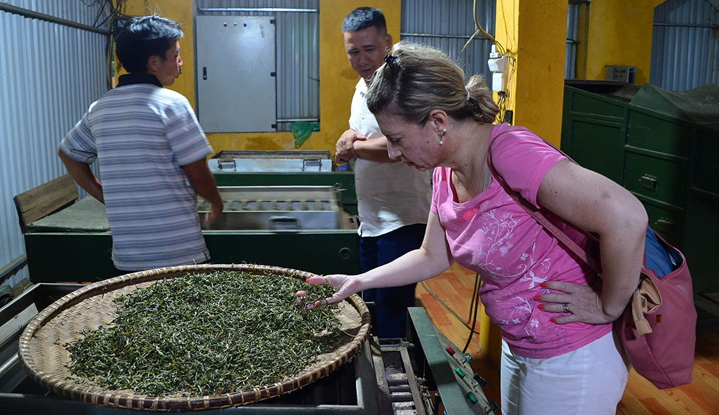 Nhà báo chuyên viết về trà thế giới Vanessa Facenda (Mỹ) tìm hiểu quy trình sản xuất trà Tà Xùa, Sơn La Ảnh: Nguyễn Đình