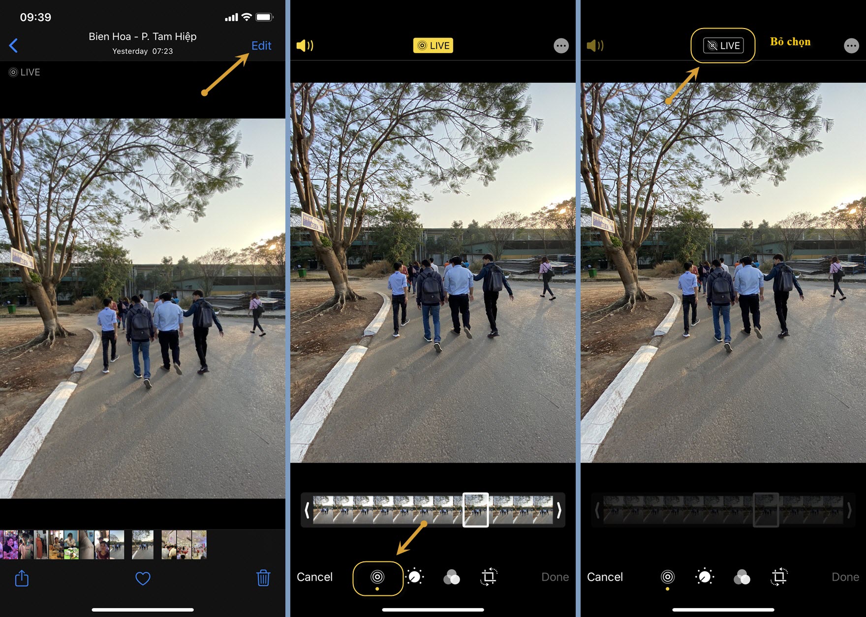 Cách sử dụng tính năng Live Photo trên iPhone từ A đến Z chi tiết nhất   Thegioididongcom