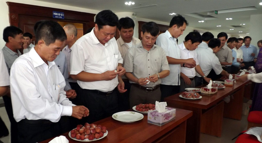 vai-thieu-luc-ngan