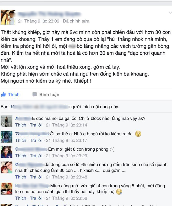 Nhiều người hoang mang lo sợ vì sự xuất hiện nhiều một cách bất thường của kiến ba khoang - Ảnh chụp màn hình