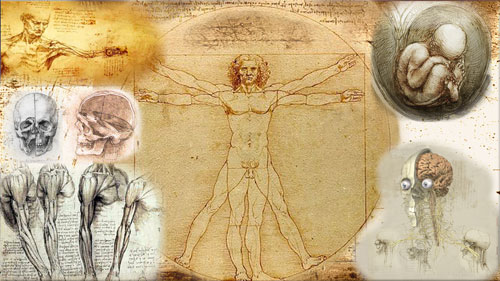 da vinci | Leonardo da vinci, Disegno di anatomia, Illustrazione del cuore