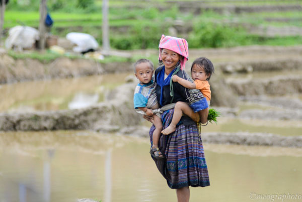 Tây Bắc mùa nước đổ - Kỳ 2: Ngắm ruộng bậc thang ở Yên Bái - ảnh 14