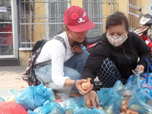 Bạn trẻ Sài Gòn 'giải cứu hành tây' giúp nông dân Lâm Đồng - ảnh 2