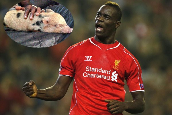 Balotelli và lợn cưng