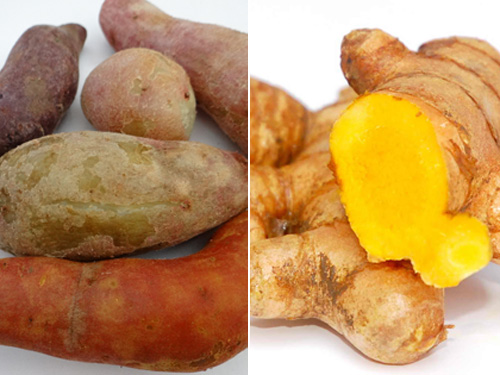 Khoai lang và nghệ - Ảnh: Thái Nguyên - Minh Khôi