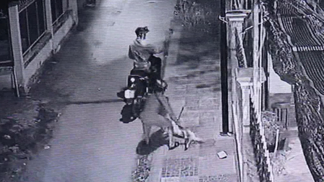 Video clip hình ảnh exciter 150 trộm chó cực hài hước và thú vị