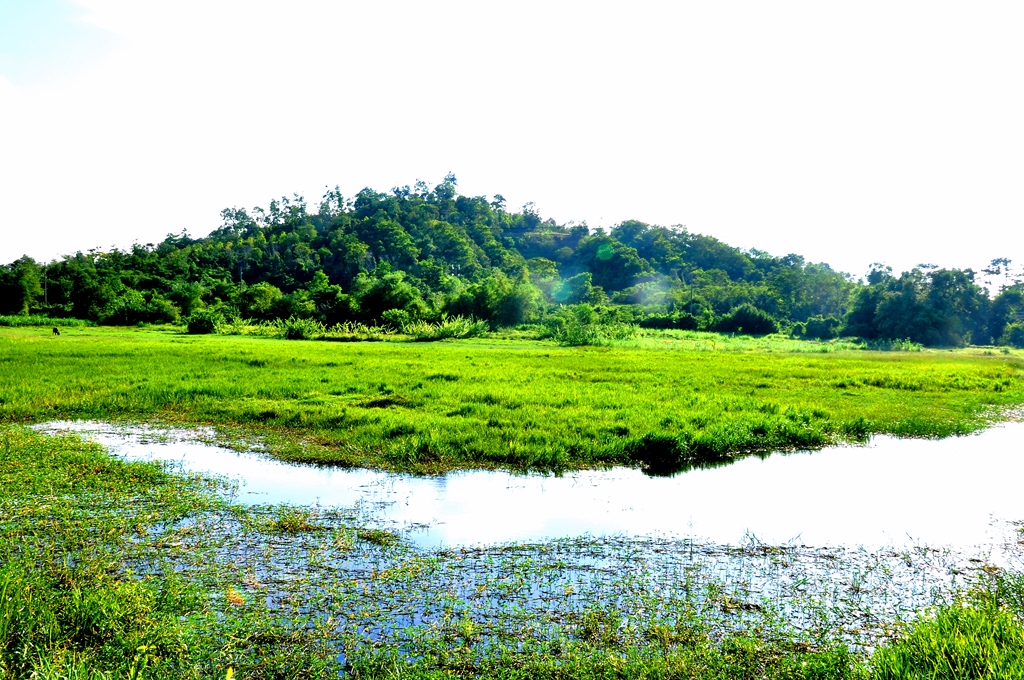 Núi Thiên Bút Quảng Ngãi