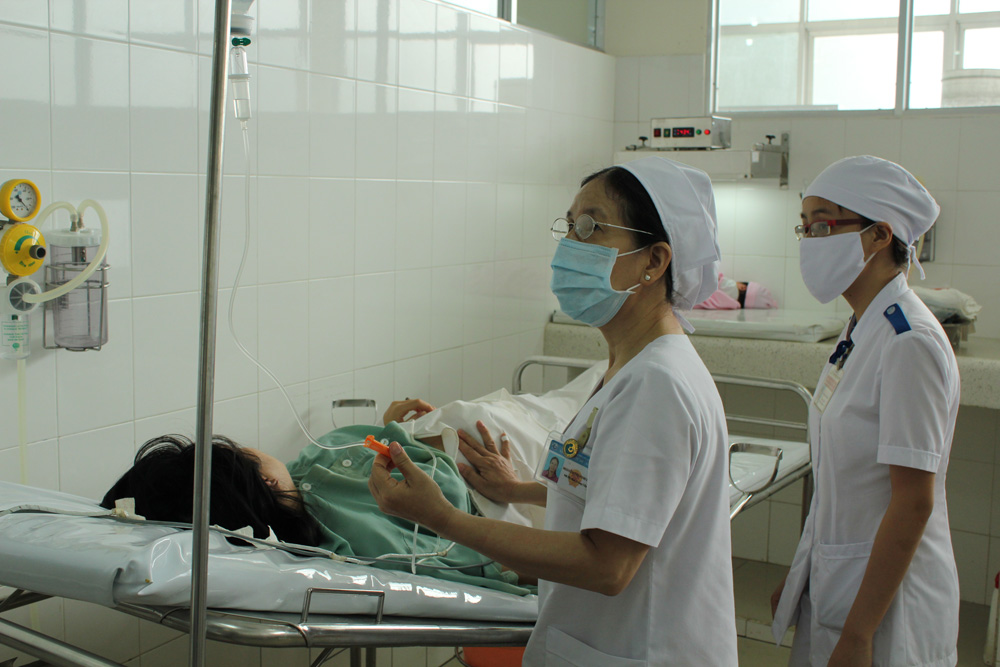 TP.HCM: Lần đầu tiên thụ tinh thành công 2 trường hợp mang thai hộ - ảnh 2