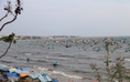Bình Thuận: Yêu cầu tháo dỡ các lán trại bán hải sản 'cân điêu' ở Mũi Né