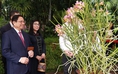 Loài hoa lan Singapore đặc biệt mang tên Thủ tướng Phạm Minh Chính và phu nhân
