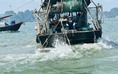 Ban quản lý vịnh Hạ Long kêu cứu về 'hung thần đại dương'