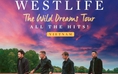 Westlife tổ chức concert tại TP.HCM