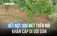 Phát hiện vết nứt dài 300 mét trên đồi, khẩn cấp di dời hàng chục hộ dân