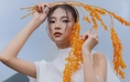 Áo, váy màu trắng sang trọng, thanh lịch tuyệt đối