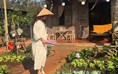 Cô gái xinh đẹp và cuộc sống trong căn nhà gỗ với vườn rau xanh