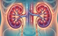 Suy thận giai đoạn đầu: vì sao thường không có triệu chứng?