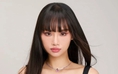 Cuộc sống của Miu Lê trước khi bị điều tra liên quan đến ma túy