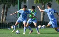 Bóng đá Việt Nam trước cơ hội lịch sử, thâu tóm mọi danh hiệu ở Đông Nam Á
