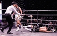 Võ sĩ Việt Nam tung cú móc trái cực hiểm, thắng knock-out tay đấm Thái Lan