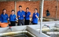Cô gái miền Tây nuôi lươn không bùn thu nhập hàng trăm triệu đồng/năm