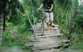 Cây cầu xuống cấp