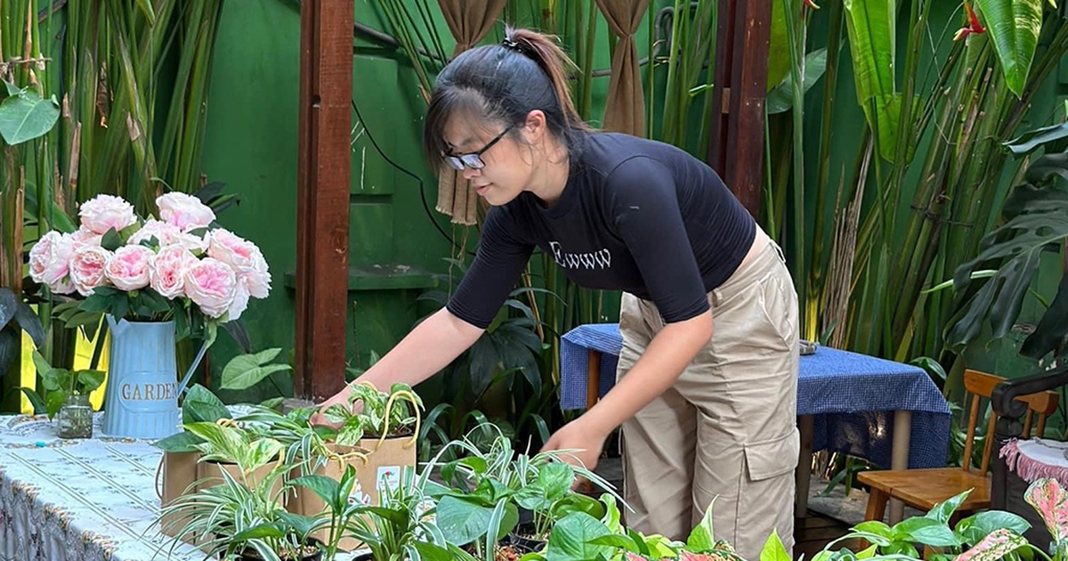 Thu nhập 100 triệu đồng/tháng nhờ trang trí cây kiểng