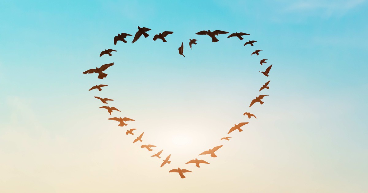 Là duyên - Truyện ngắn dự thi của Nguyễn Thị Thanh Bình (TP.HCM)