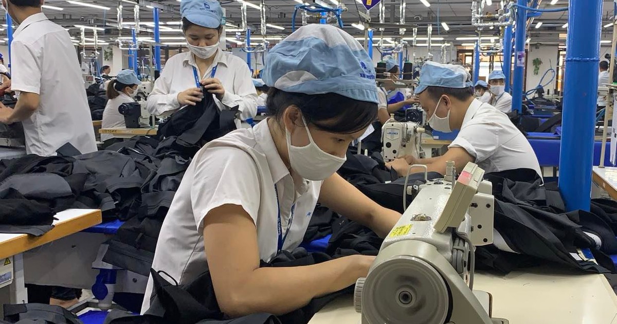 Khảo sát tiền lương, thu nhập của công nhân năm 2023