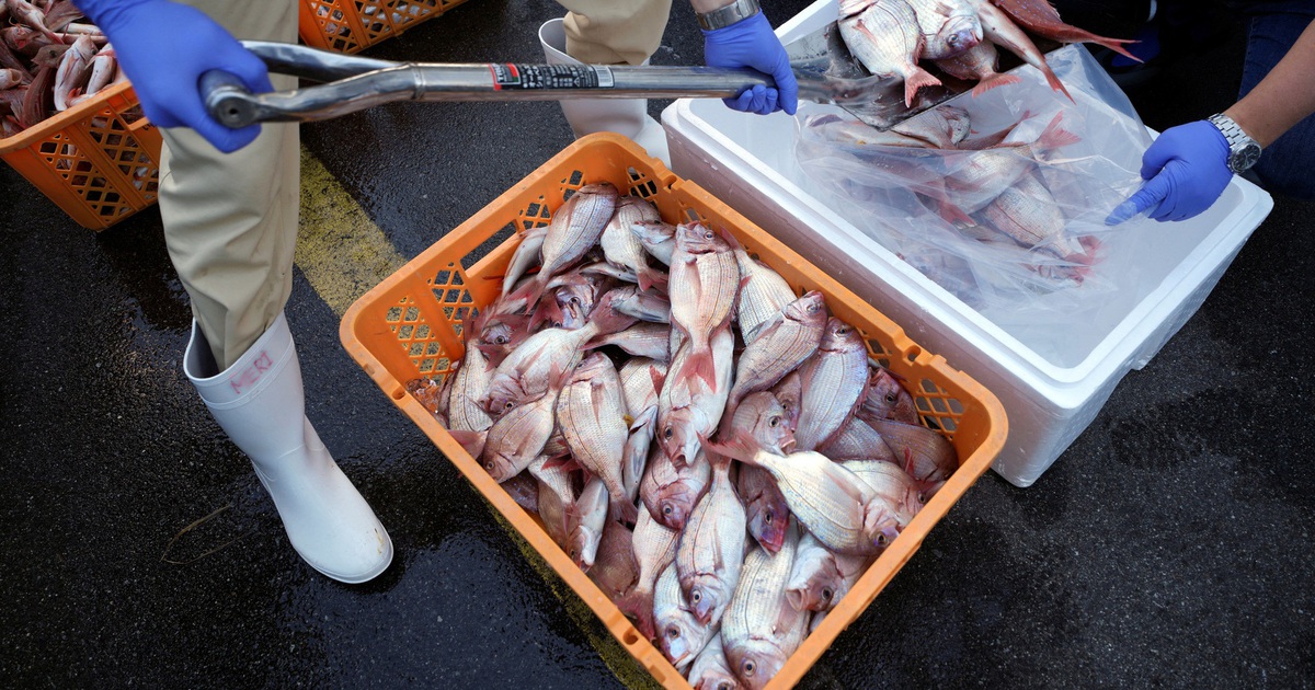 Quân đội Mỹ lần đầu mua hải sản để ủng hộ Nhật Bản