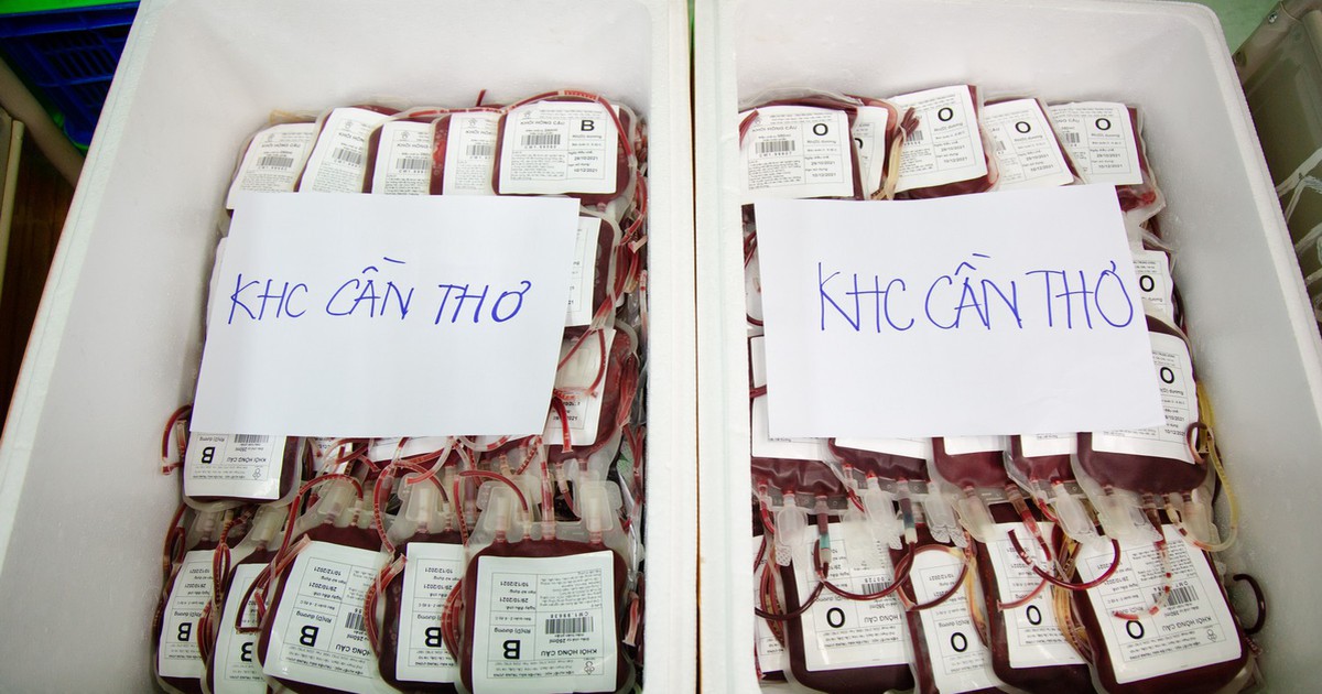 Thiếu máu điều trị tại Cần Thơ: Bộ Y tế đề nghị xem xét kỷ luật