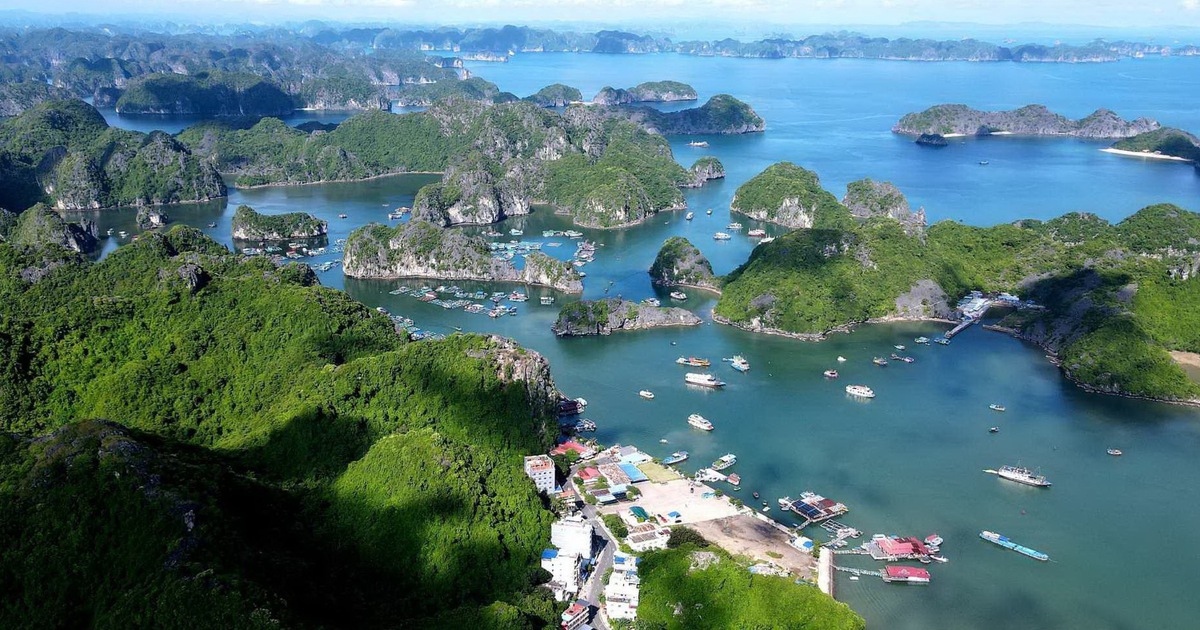 Hải Phòng: Du khách là Việt kiều Mỹ đột tử trên tàu tham quan vịnh Lan Hạ