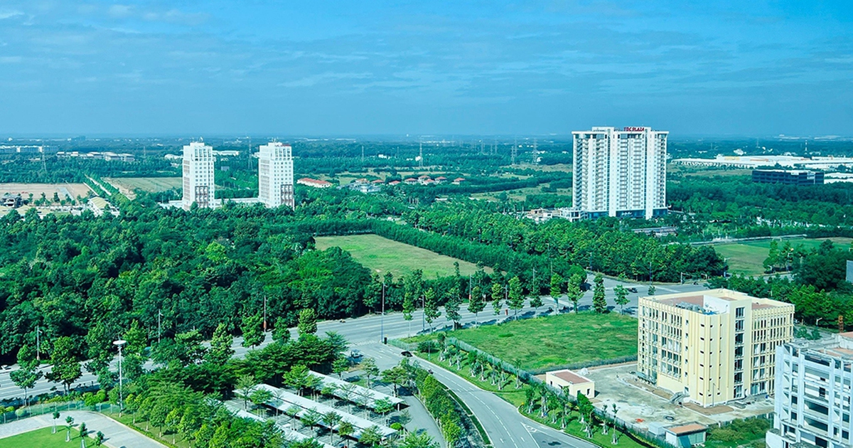 Hào khí miền Đông: Hồn xưa đất thủ