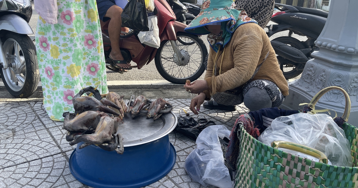 Thừa Thiên - Huế: Rao bán chim trời công khai trên phố và mạng xã hội